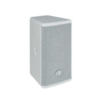  VL 62W Cabinet Speaker