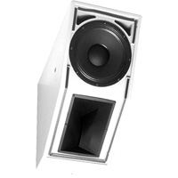  EVI-12 Cabinet Speaker